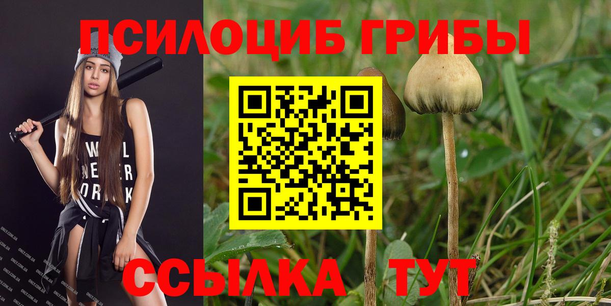 Псилоцибиновые грибы GOLDEN TEACHER Нерюнгри