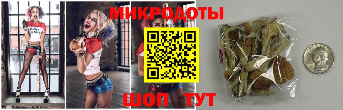 Нерюнгри  Галлюциногенные грибы Magic Shrooms  наркота  Вход с VPN 